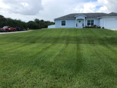 Lawn Care