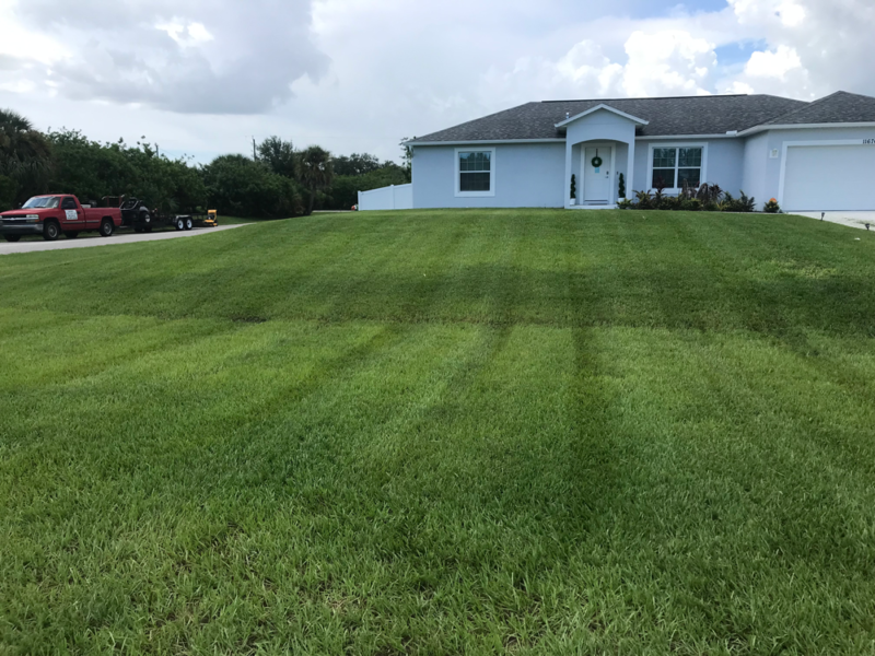 Lawn Care