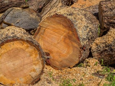 I have a bunch of free firewood. SAMPLE LISTING ONLY